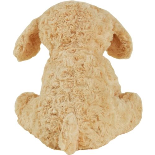 Cockapoo