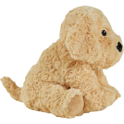 Cockapoo