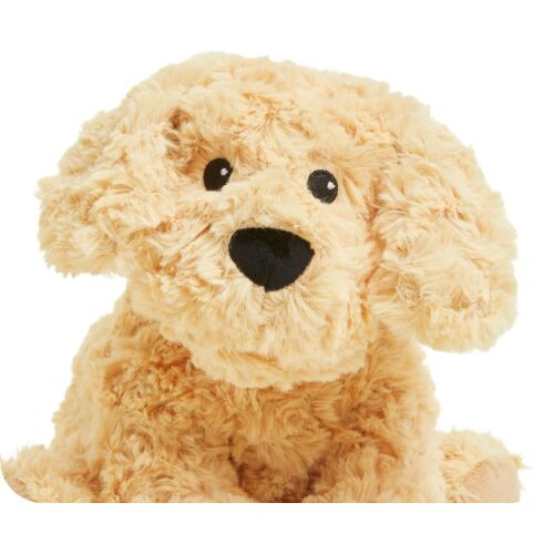 Cockapoo