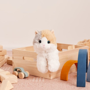 Ginger Cat