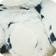 Dalmatian