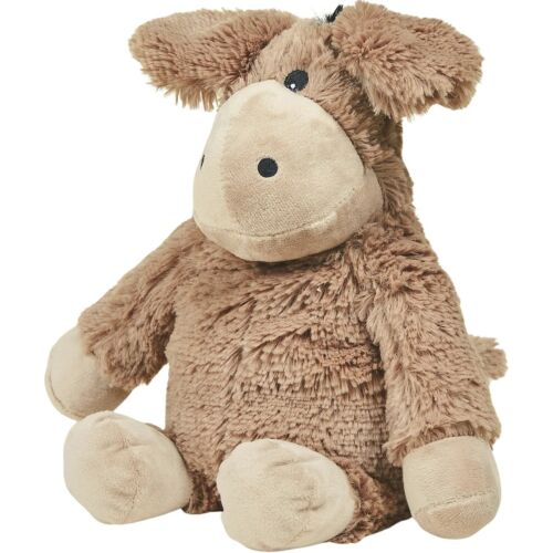 Donkey