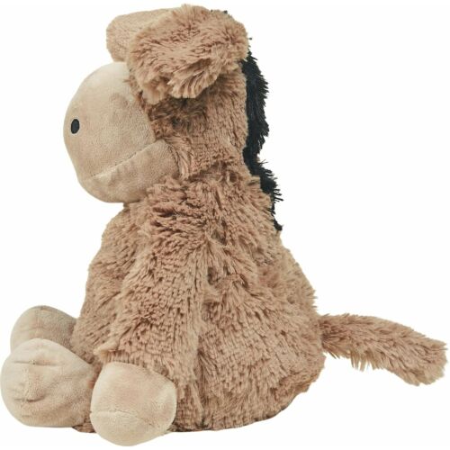 Donkey