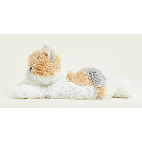 Ginger Cat