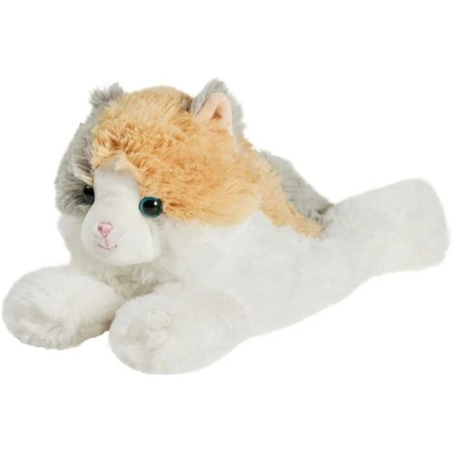 Ginger Cat