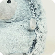 Grey Hedgehog