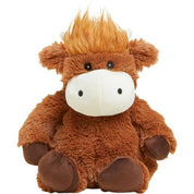Highland Cow