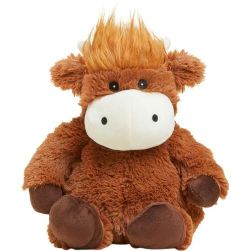 Highland Cow