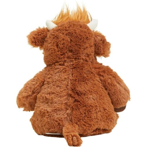Highland Cow