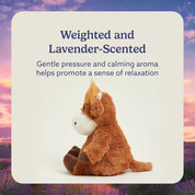 Highland Cow