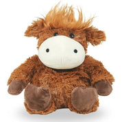Highland Cow
