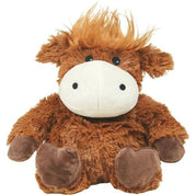 Highland Cow