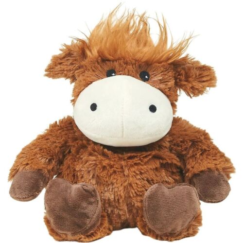 Highland Cow