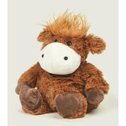 Highland Cow