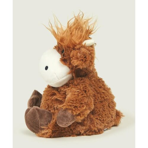 Highland Cow