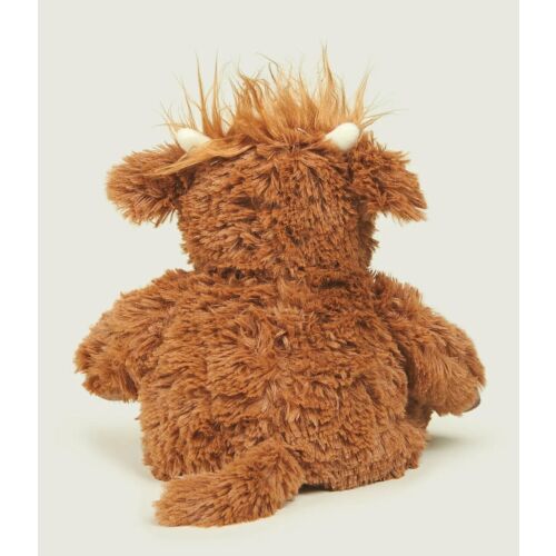 Highland Cow