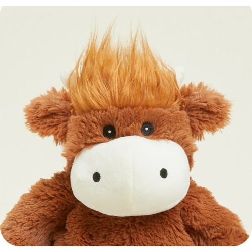 Highland Cow