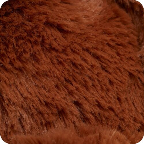 Highland Cow