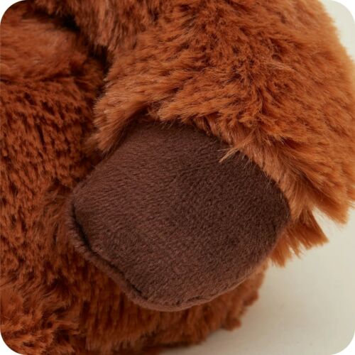 Highland Cow