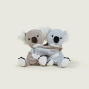 Warm Hugs Koala