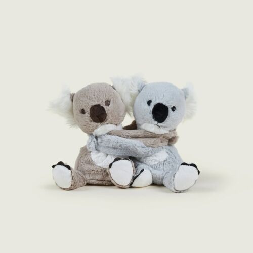 Warm Hugs Koala