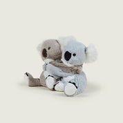 Warm Hugs Koala