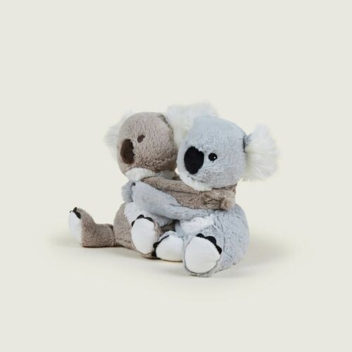 Warm Hugs Koala