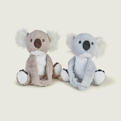Warm Hugs Koala