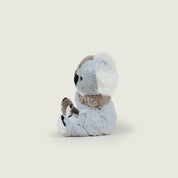Warm Hugs Koala
