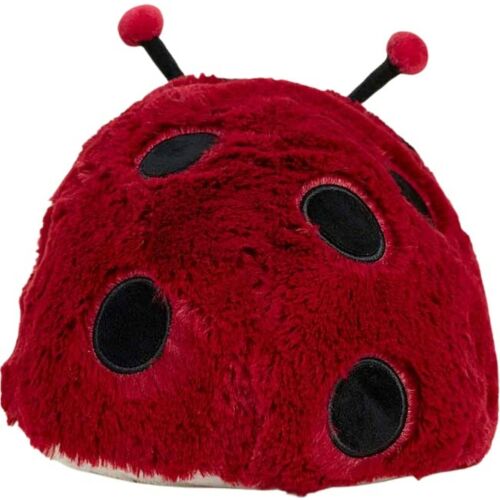 Ladybird