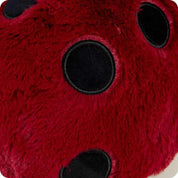 Ladybird