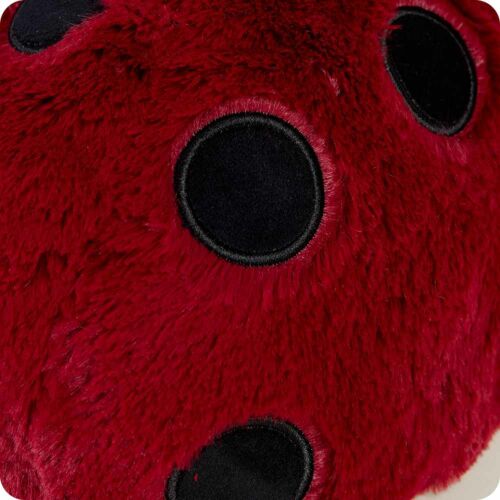 Ladybird