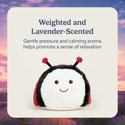 Ladybird