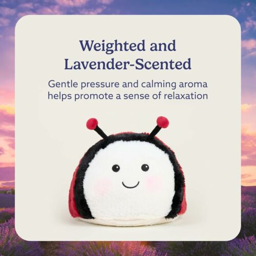 Ladybird