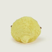 Lemon Slice