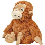 Orangutan