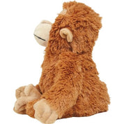 Orangutan