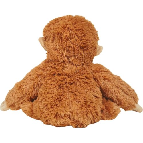 Orangutan