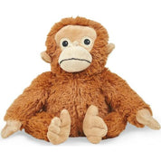 Orangutan