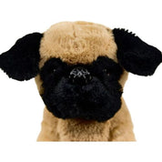 Pug