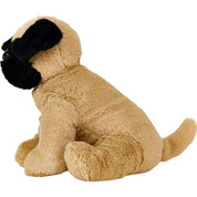 Pug