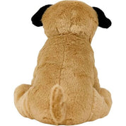 Pug