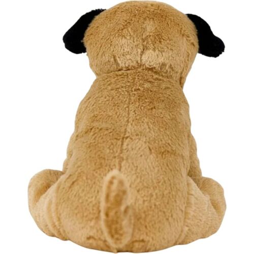 Pug