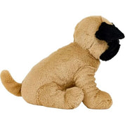 Pug