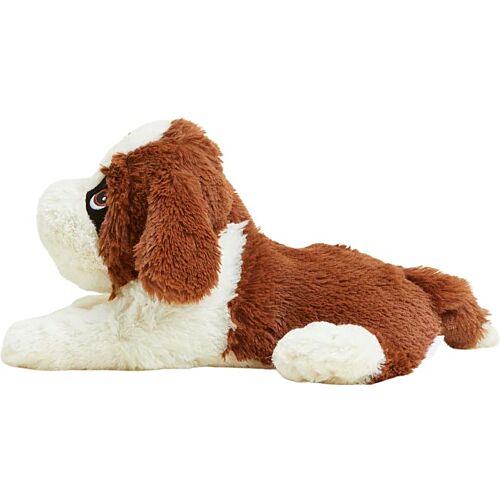 St Bernards