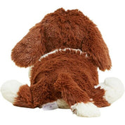 St Bernards