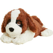 St Bernards