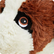 St Bernards