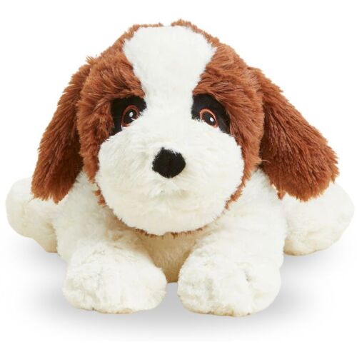 St Bernards