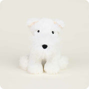 Westie